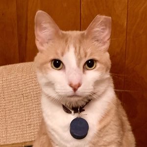 Meet your Posher, Hui